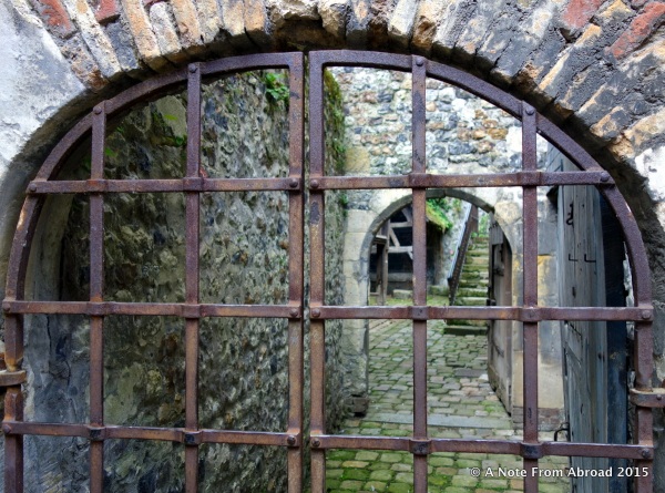 Peeking through a gate