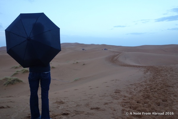 Umbrella on the dunes